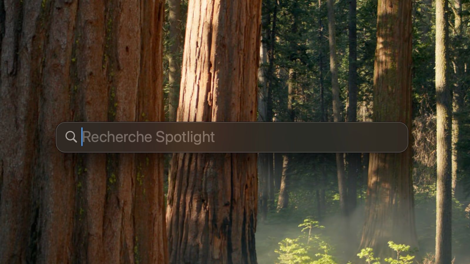 Apple révèle trois astuces pour accélérer l’indexation de Spotlight
