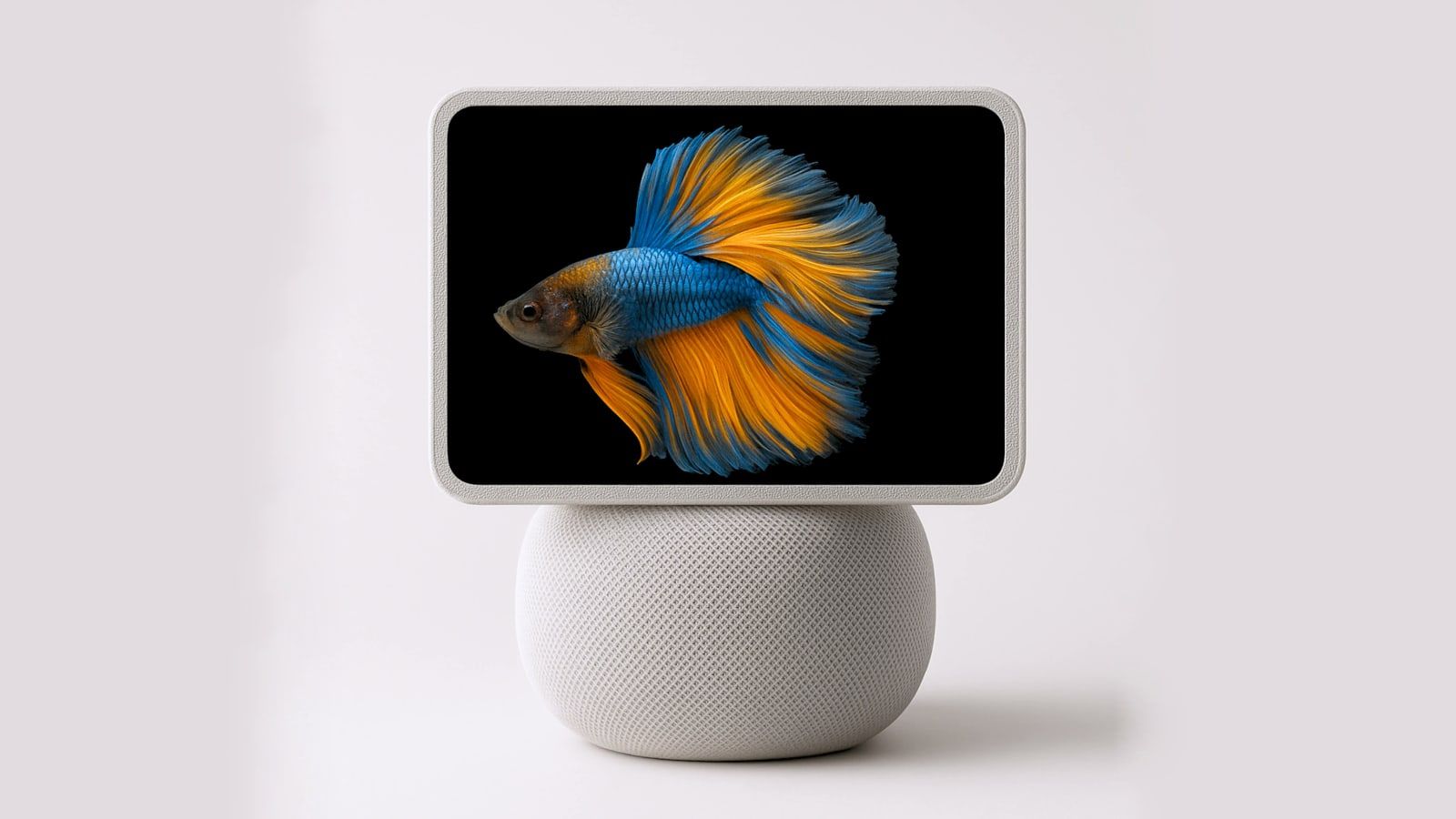 homepad concept apple home hub homepad concept apple home hub